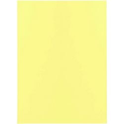 Dossier de tri bangali exacompta 850005e papier recyclé 60g m2 31x22cm jaune