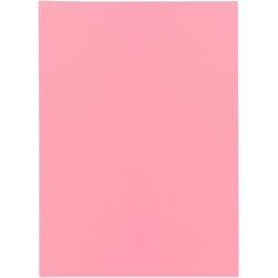Dossier de tri bangali exacompta 850003e papier recyclé 60g m2 31x22cm rose