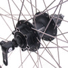 Shimano Roue arrière 28 29 622x19c Andra 30 Rim avec FH-M525 8 9 Speed ​​Hub pour 6 boulons Disque de frein noir