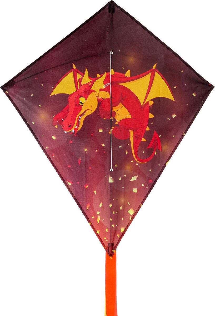 Mouche dragon