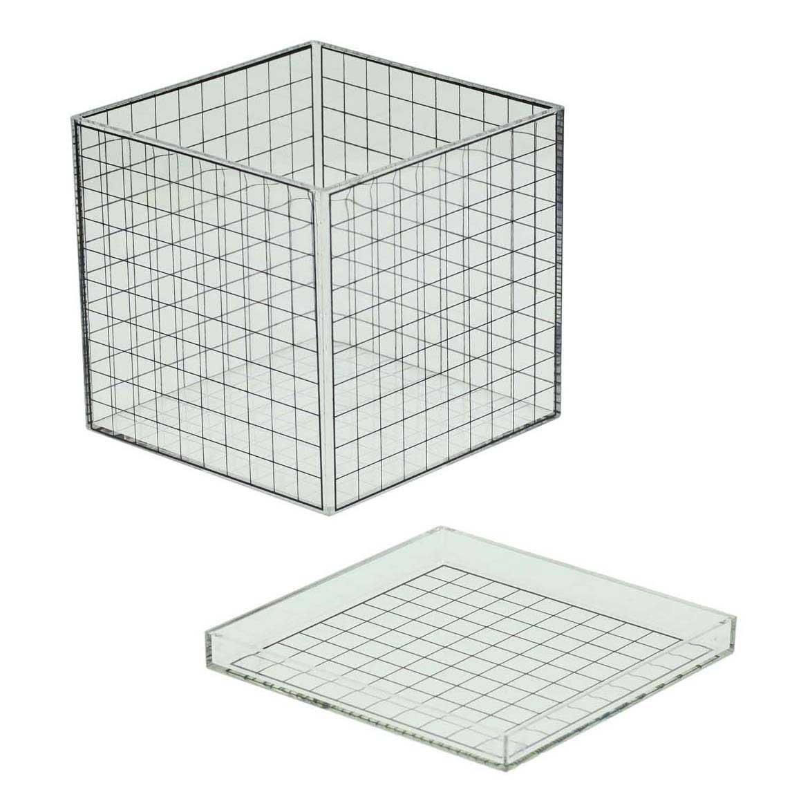 Cube grille 3D transparent - 10x10x10 cm