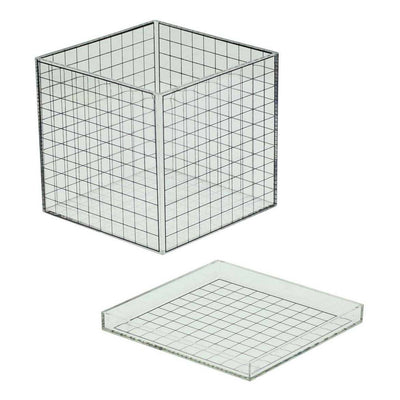 Cube grille 3D transparent - 10x10x10 cm