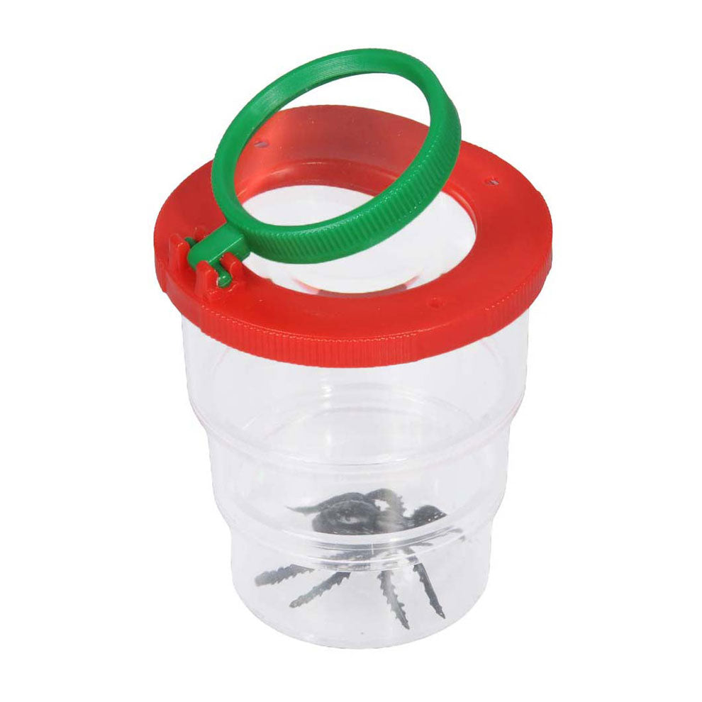 Pot d'insectes avec loupe