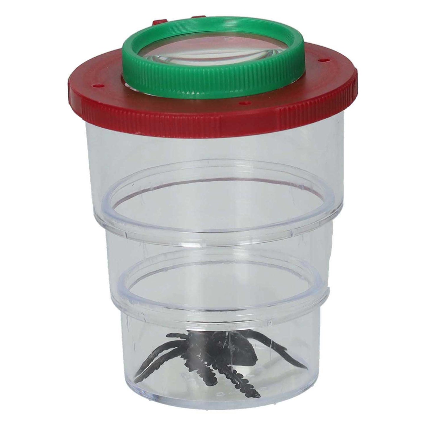 Pot d'insectes avec loupe