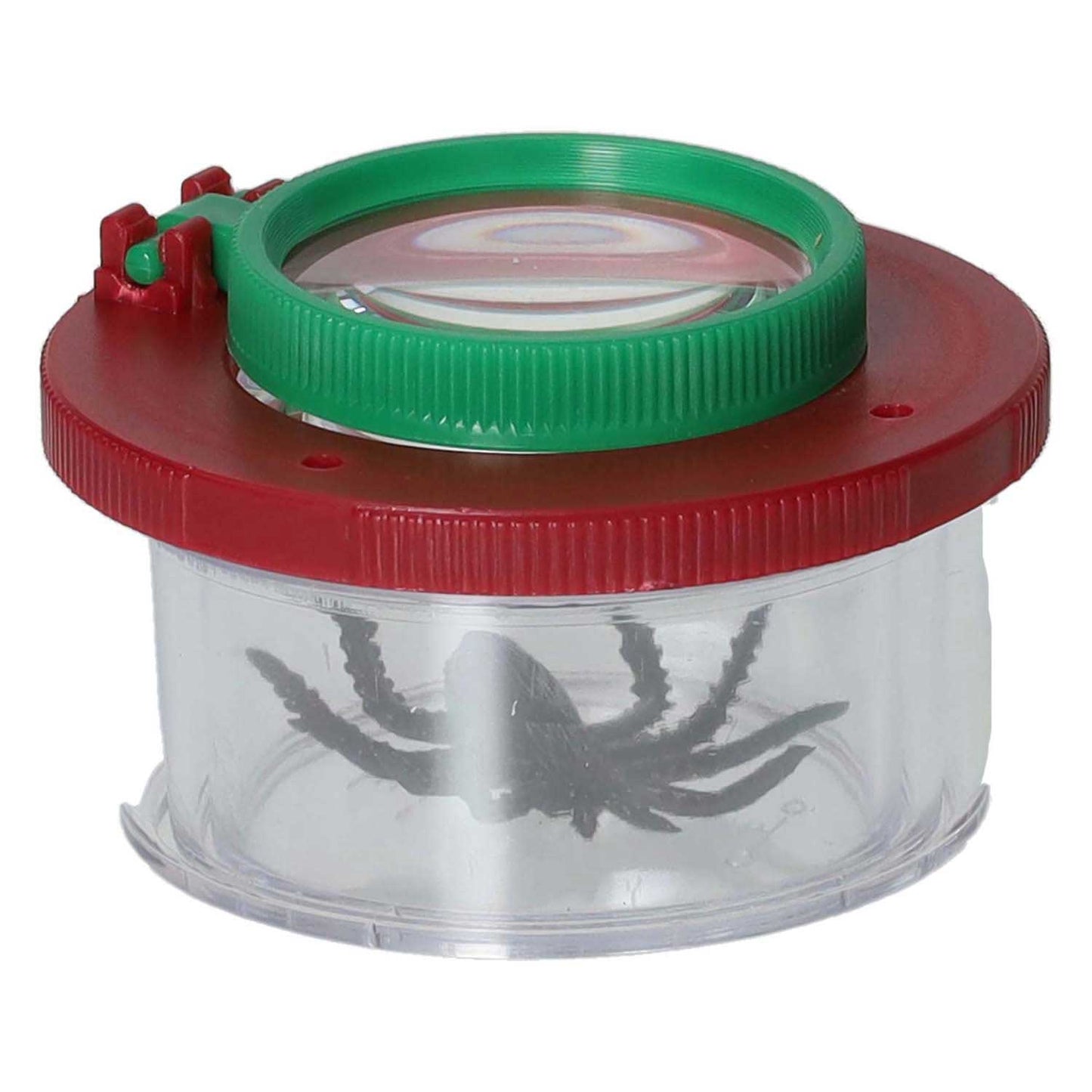 Pot d'insectes avec loupe