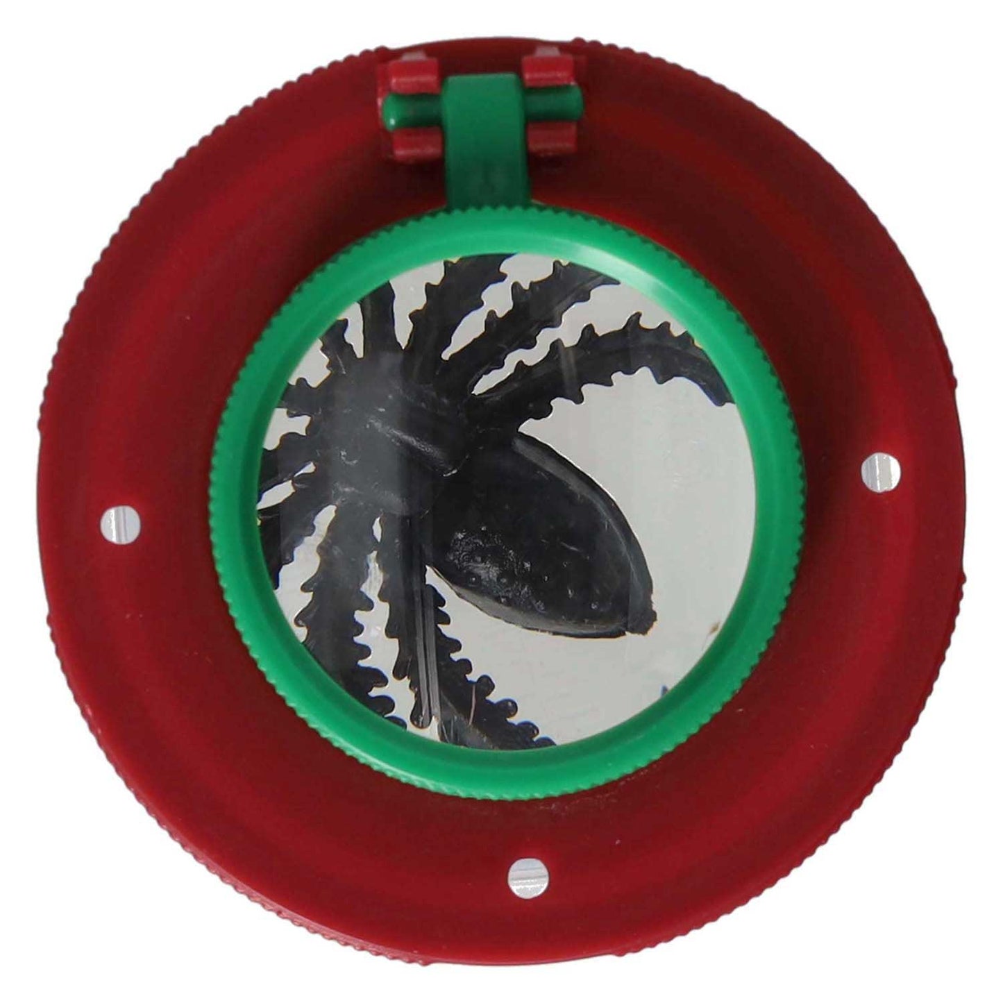 Pot d'insectes avec loupe