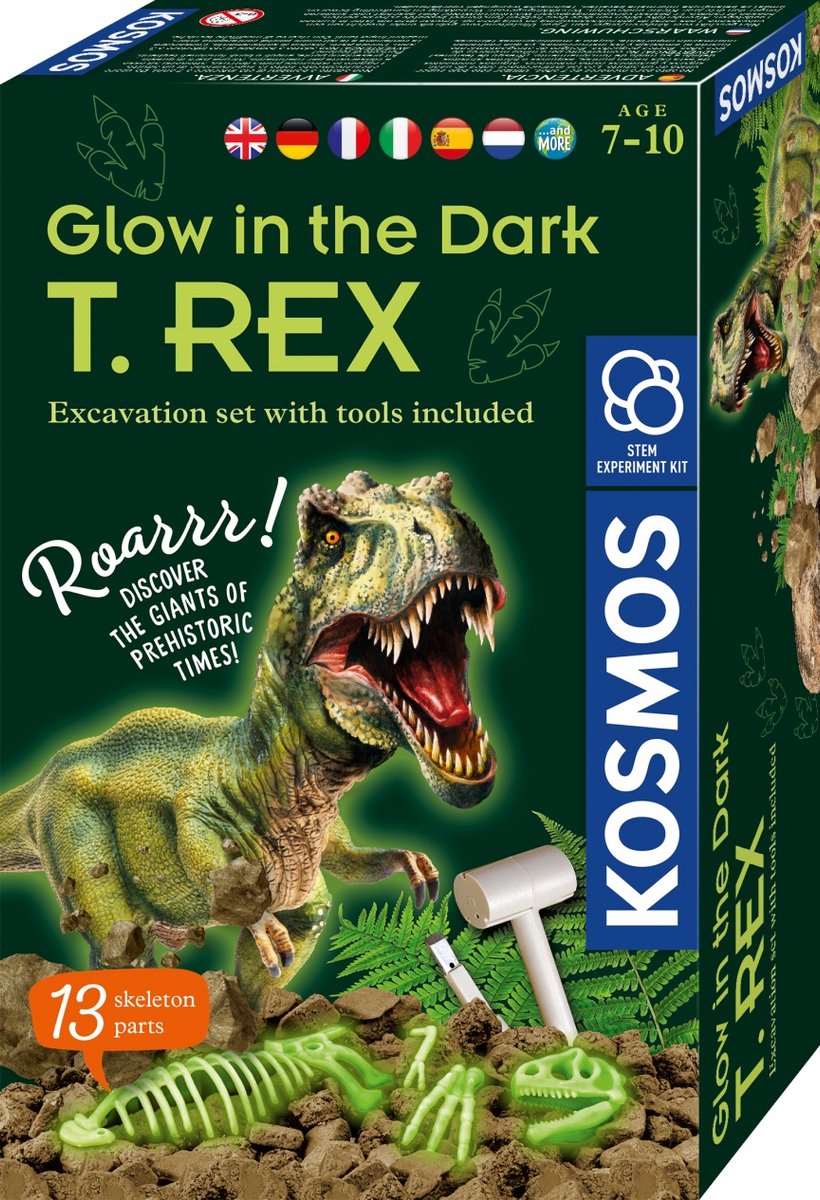 Kosmos brille dans le bikken T-Rex sombre