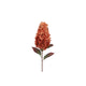 Countryfield fleur artificielle paniculata hortensia orange