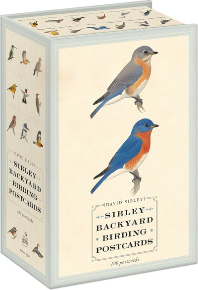 Isbn sibley cartes postales d’observation des oiseaux dans la cour