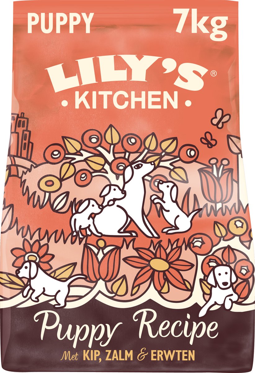 Lily's Kitchen Dog Chiot Poulet Saumon
