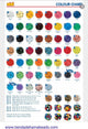 HAMA Iron Bead Board Maxi Turtle