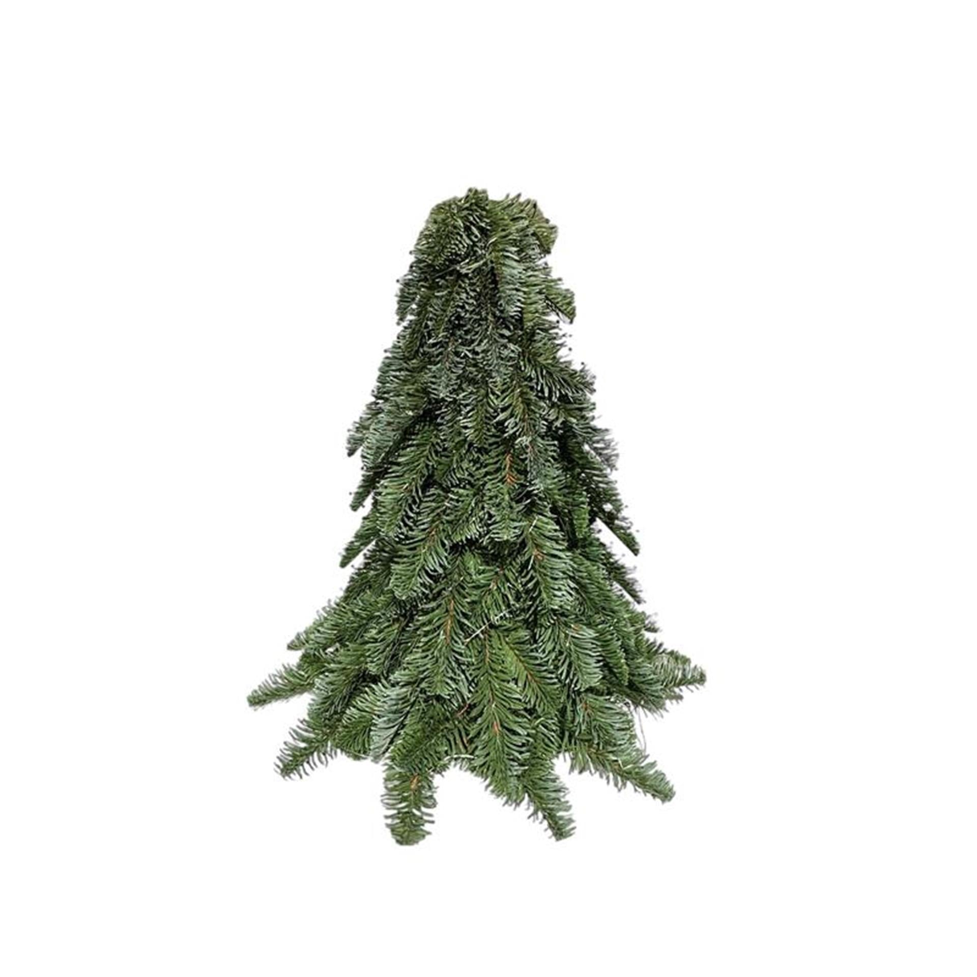 Collection d'art Roberts Nobillis arbre 30 cm vert