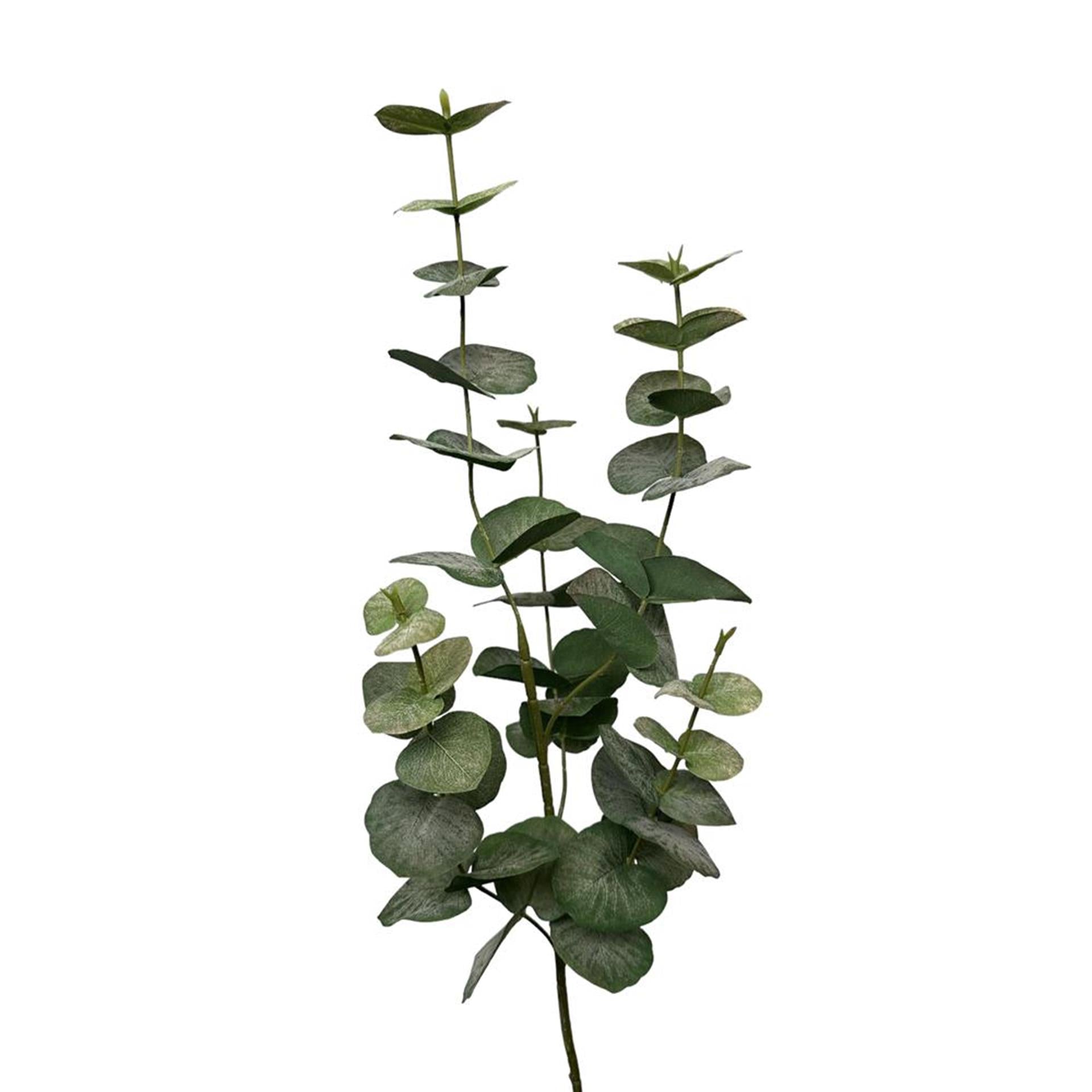 Roberts collection branche artificielle d'eucalyptus en gerbe 90cm gris