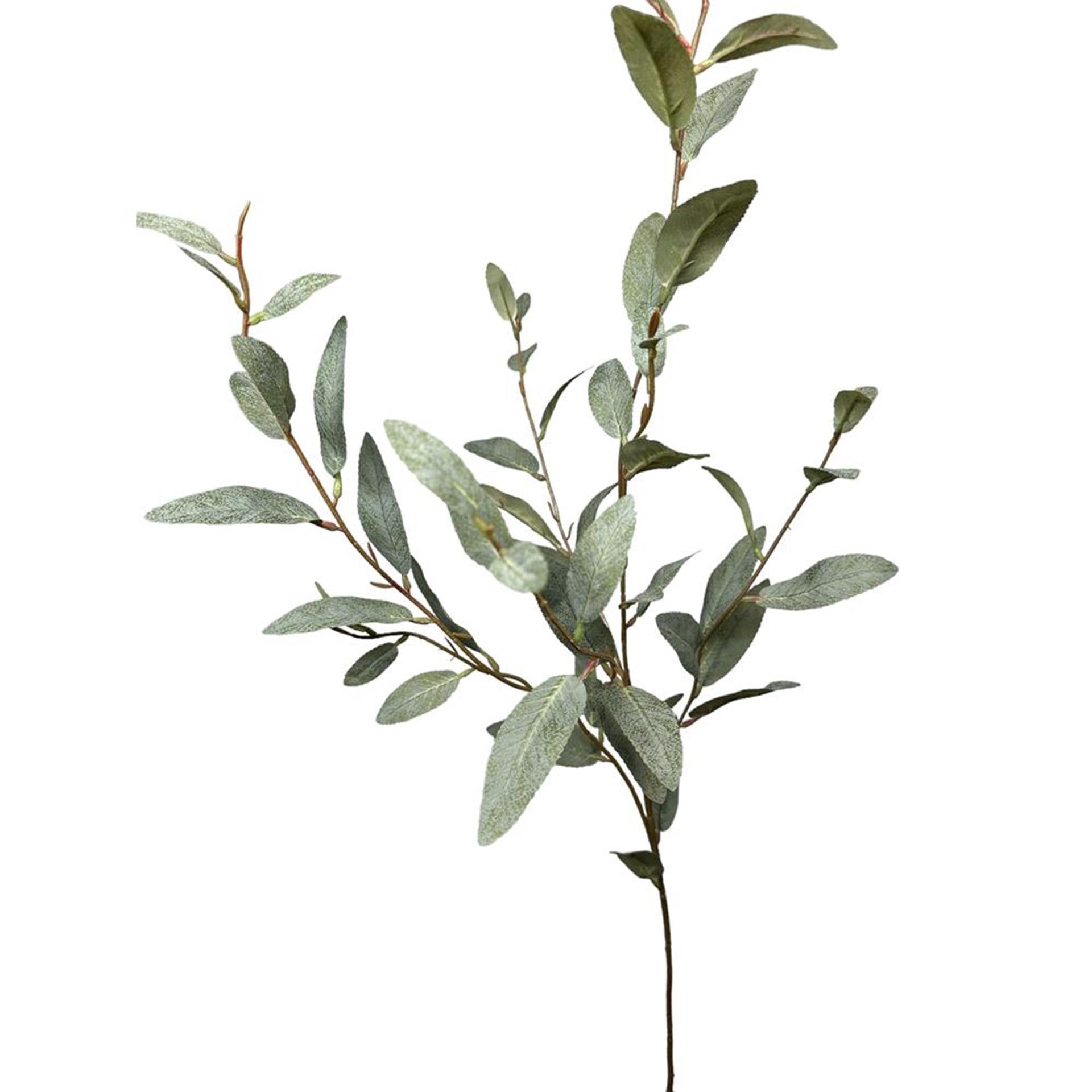 Roberts collection branche artificielle d'eucalyptus fine 85cm vert