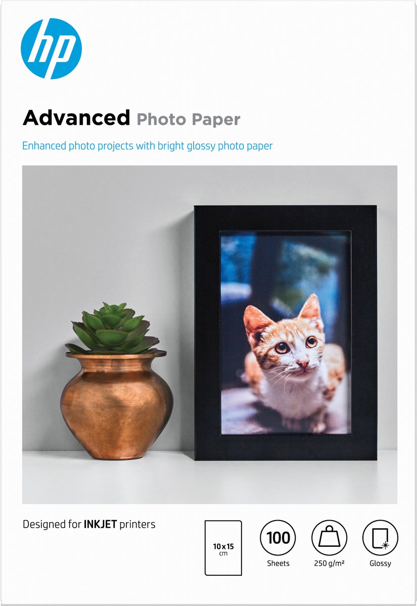 Papier photo Hp 250g - 10x15cm - 100 feuilles