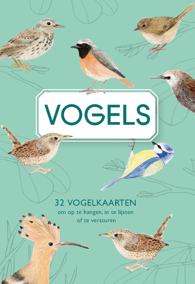 Éditeur Oiseaux Moustaches