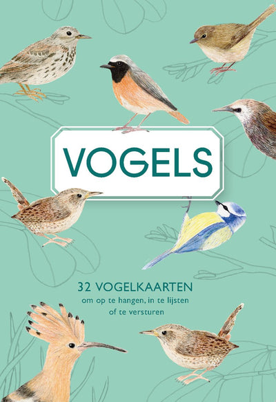 Éditeur Oiseaux Moustaches