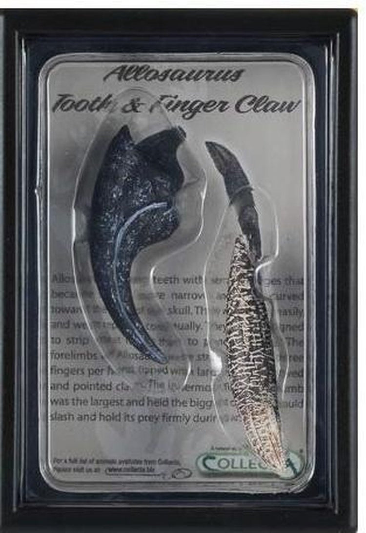 Coffret cadeau figurine Collecta - dent et doigt d'allosaure