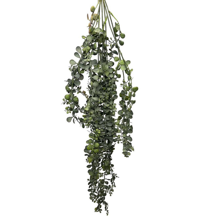 Roberts collection plante artificielle suspendue dischidia vert 100cm