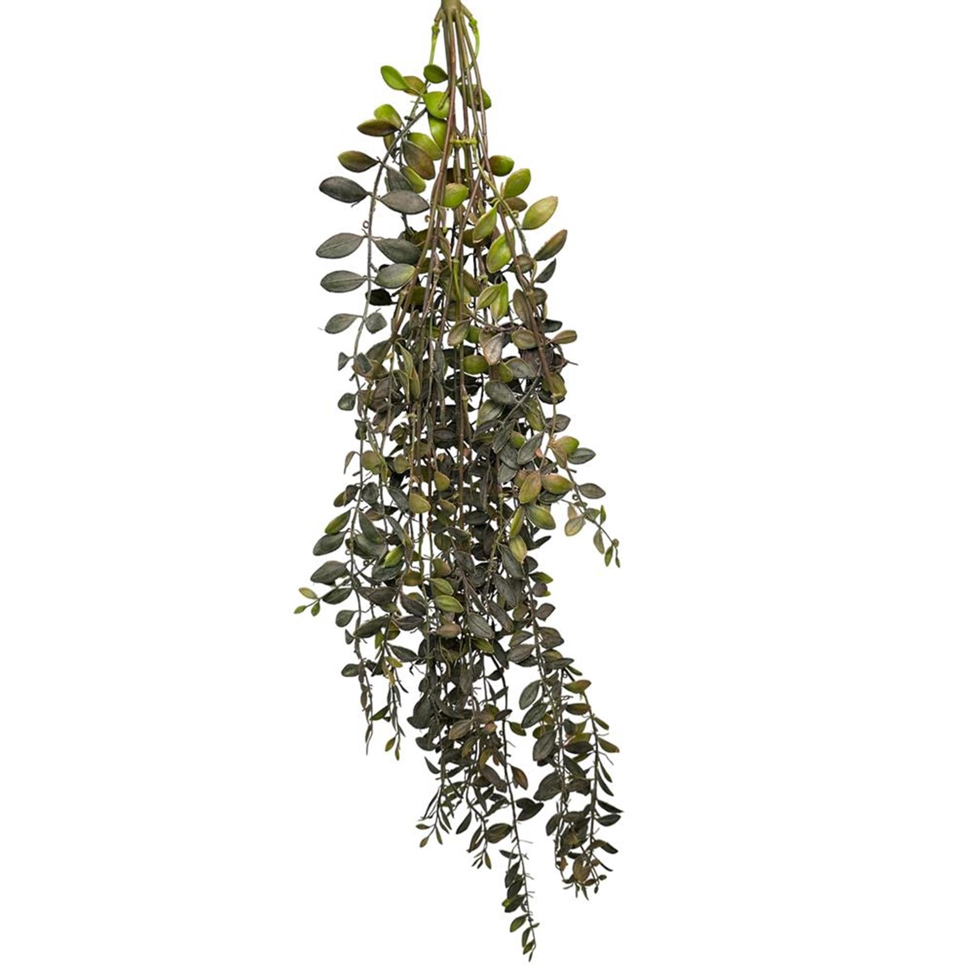 Roberts collection plante artificielle suspendue dischidia bordeaux 100cm