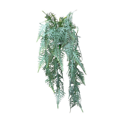 Roberts collection art plante suspendue asparagus plumosus gris