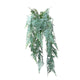 Roberts collection art plante suspendue asparagus plumosus gris