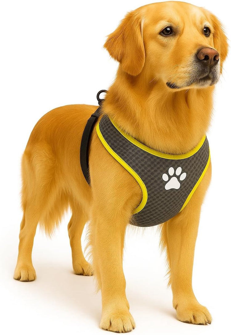 Harnais pour chien Flamingo - harnais pour chien - harnais pour chien anti traction - harnais pour chien - harnais pour chien anti traction - step go tasha - gris - taille xl - a : 65 cm b : 90-115 cm x 20 mm x 5 mm