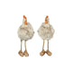 Poulet Countryfield m pattes pendantes pien m