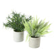 Boltze home plante artificielle romarin ou fougère