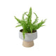 Fougère artificielle Decoris h24cm