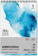 Winsor Newton