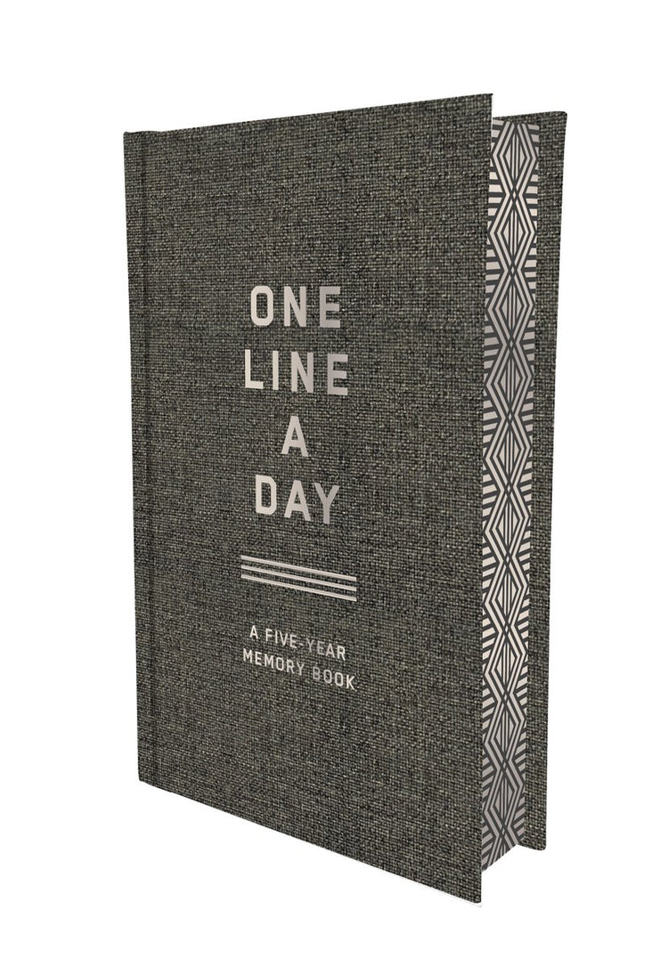 Chronique livres toile au fusain une ligne par jour - journal intime pendant 5 ans - un livre de souvenirs de cinq ans