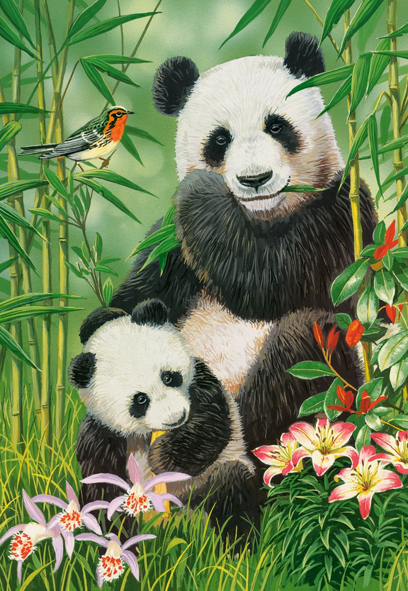 Castorland puzzle panda brunch - puzzle 1000 pièces panda.