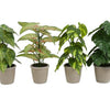 Countryfield plante artificielle vert ø18x30cm