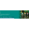 Lumineo lampe solaire champignon h33,5cm