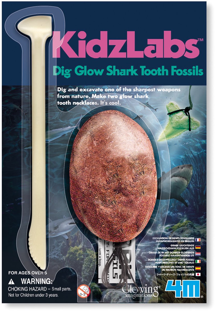 Kit d'excavation 4 m qui brille dans le noir - dent de requin - 2 pièces - fossiles - kidzlabs - 5+