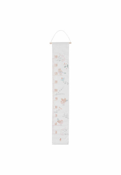 Toise Jollein beaux oiseaux