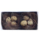 Decoris nid saule lot de 2 pièces 8cm