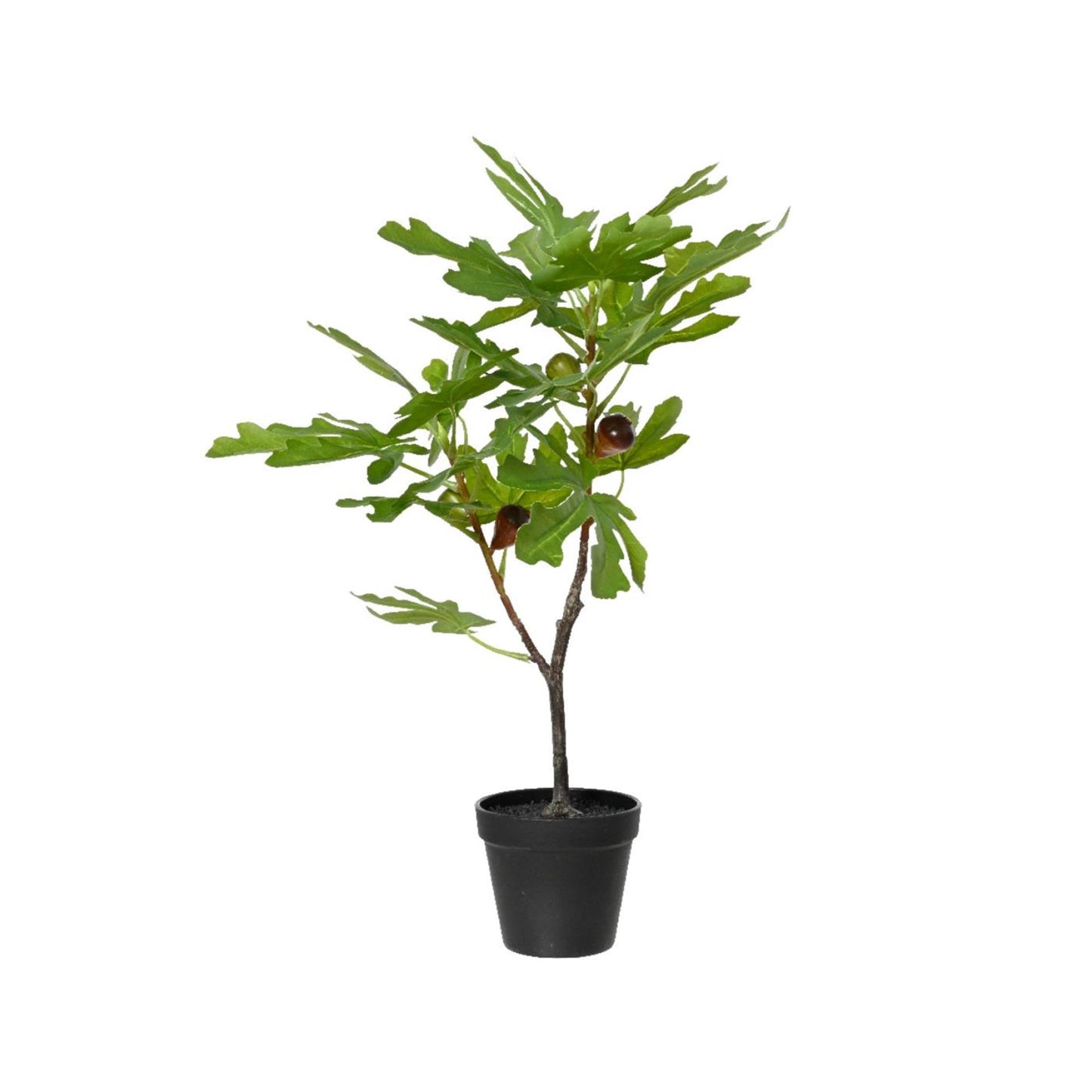 Figuier Decoris en pot 40x35xh60cm