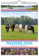 Comello Pays-Bas calendrier mensuel vaches 2027