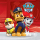 PAW PATROL PRÊT pour les serviettes d'action 20e 33x33