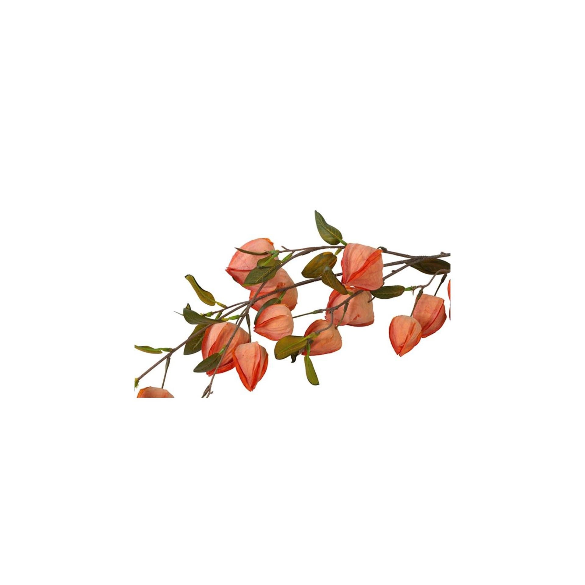 Champ de campagne fleur artificielle physalis bronze soie h94cm