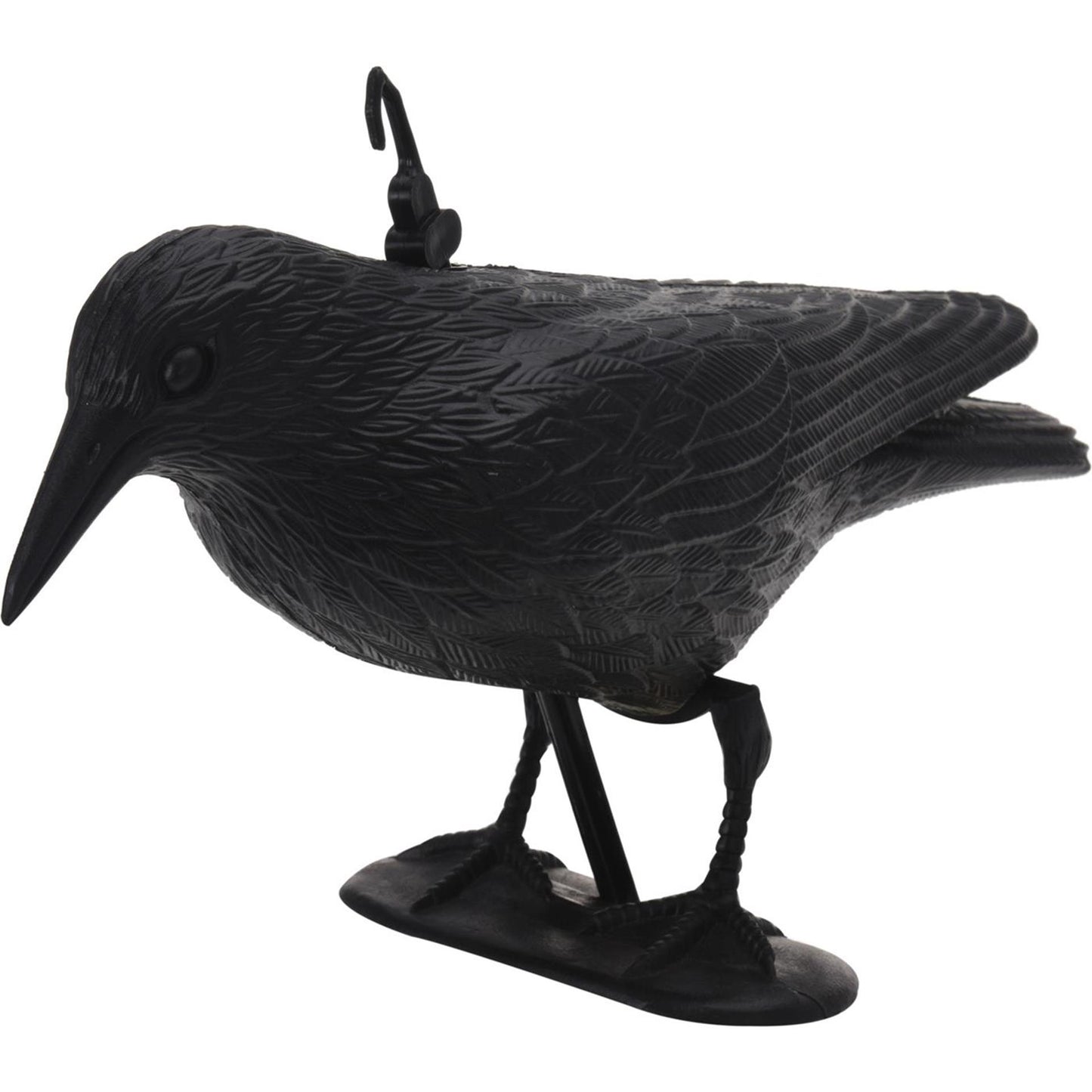 Pro jardin raaf oiseau scrurcin noir
