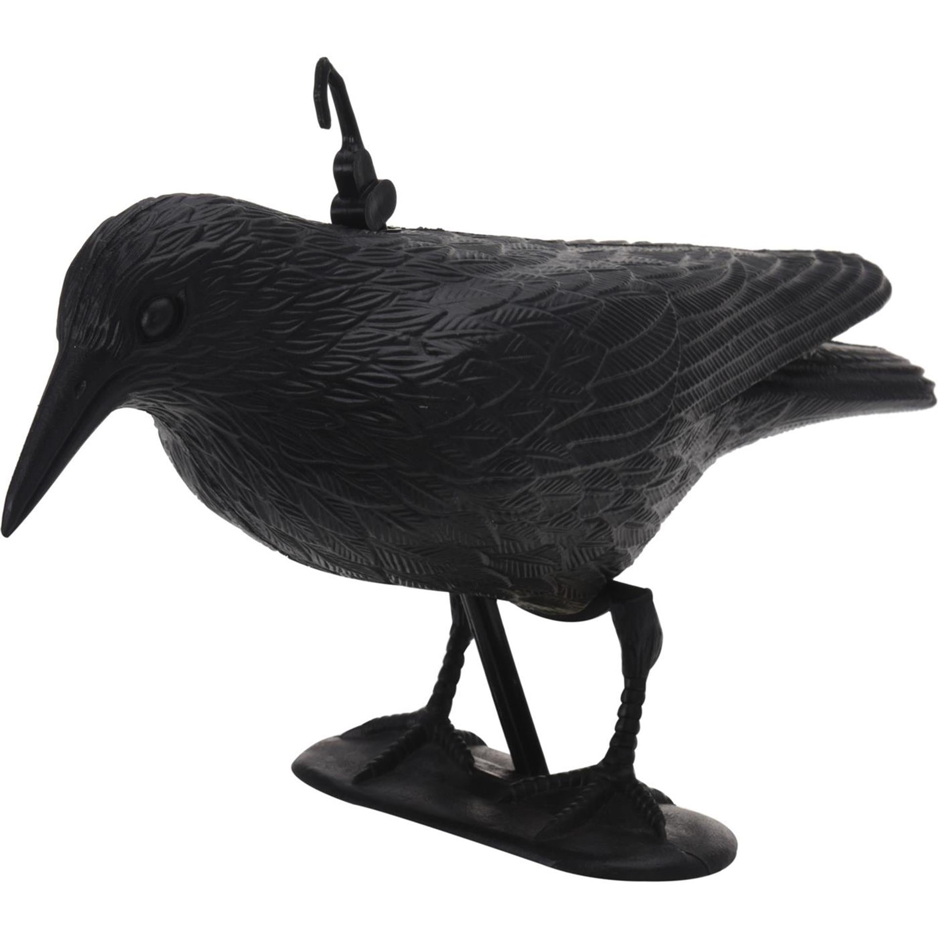 Pro jardin raaf oiseau scrurcin noir