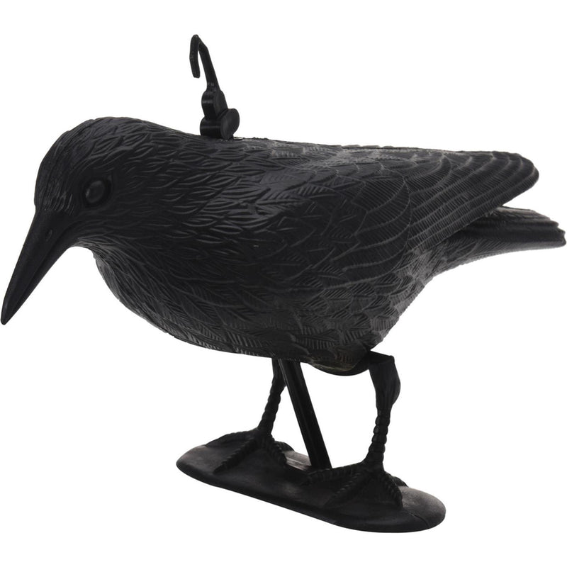 Pro jardin raaf oiseau scrurcin noir
