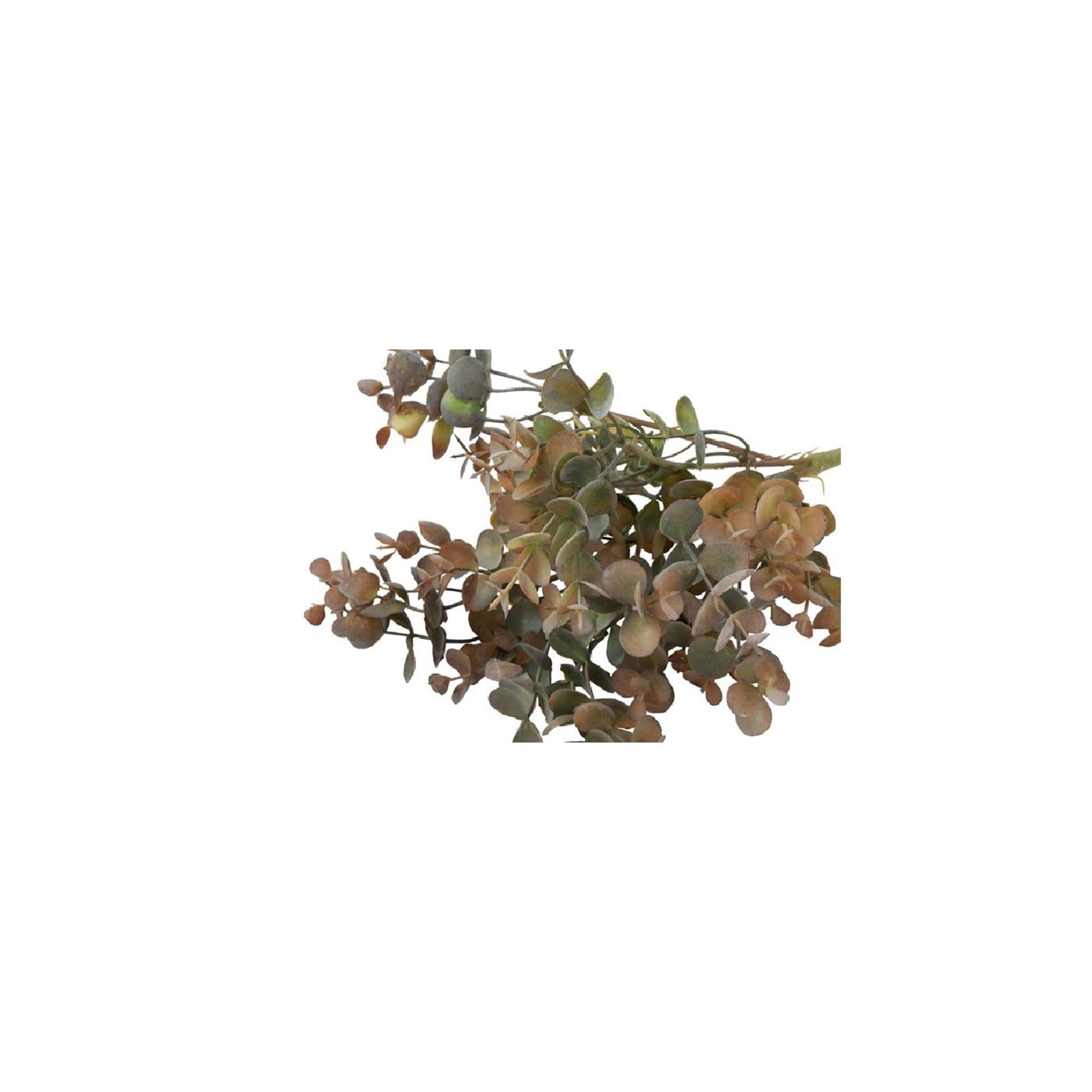 Country field countryfield bouchon de fleur artificielle eucalyptus soie marron clair ø15x33cm
