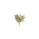 Country field countryfield fleur artificielle plug schinus gris vert soie ø12x35cm