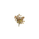 Country field countryfield bouchon de fleur artificielle acaena soie marron clair ø12x35cm