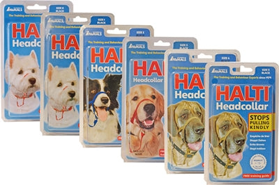 La compagnie des animaux Company of Animals Halti Headcolar Black