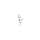 Country field countryfield fleur artificielle prunus avium soie marron h110cm